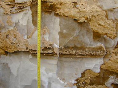 中圣科技(江蘇)集團股份有限公司