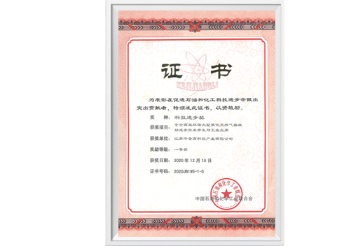 中石油化工聯合會科技進步一等獎